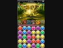 パズドラ　光の戦国龍地獄級挑戦②