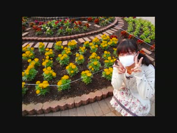 【那南架】ハロ/ハワユ　踊ってみた【代々木デビュー】