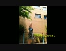 ReachNews#96ダンスニュース”茨城でカボチャ５００個盗まれる”