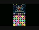【パズドラ】星空の神域　神々の王　闇ハクPT