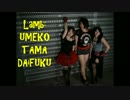 【ハッピーハイボール(濃)】Lamb.【踊ってみた】