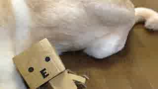 【ビデオ日記】今週のイーゼル芸術工房 Vol.15【ロボンくん】