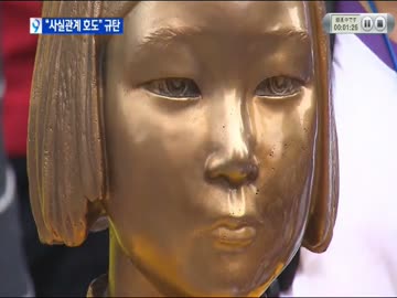 韓国政府は、検証について「嘘がバレた」と反発している.