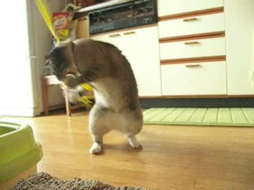 ジャンくんののどかな昼下がり