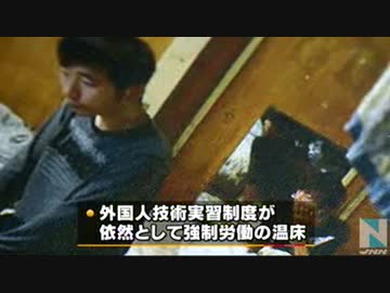 日本は人身売買国家10年連続 技能実習制度　援助交際