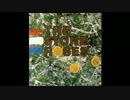 The Stone Roses - I Am the Resurrection