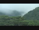 20140621_081130名蔵湾の山に霧300pctSpeed.mp4