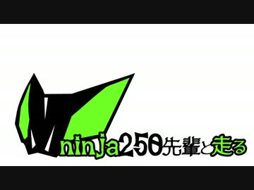 【再編集】ninja250先輩と走るスカイバレー