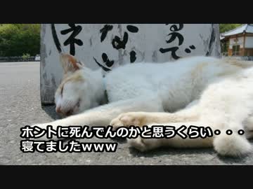 あかだいのツーレポ　GW　能登半島　その1