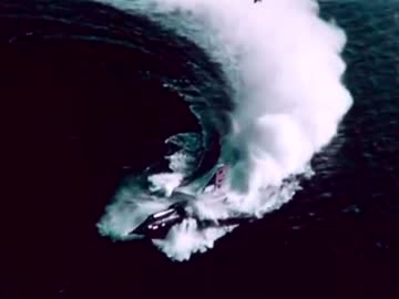 超音速ジェット水上戦闘機、コンベア「XF2Y（シーダート）」記録フィルム