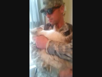 戦場から帰った兵士と飼い猫との再会