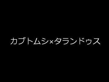 カブト×タランドゥス