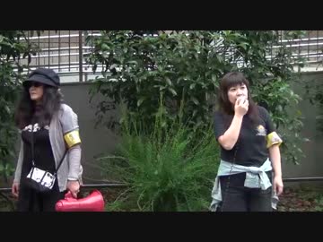 【2014/6/22】反日害国人、反日帰化人の公務員採用完全撤廃デモin日本橋5/5