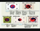 韓国人も知らない太極旗属国の歴史！
