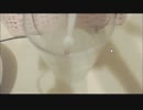 【立体音響】歯ブラシの新しい使い方【イヤホン必須】