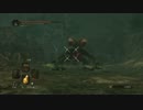 【DarkSouls2】ロートル剣士 覇者への道 Part.51【PC版】