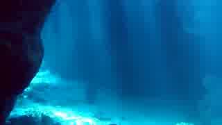 高中正義 - 珊瑚礁の妖精
