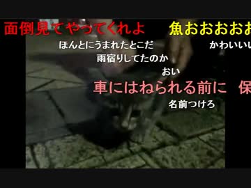 20140624 暗黒放送　たこ焼きを作ってリスナーに配る放送 3/3