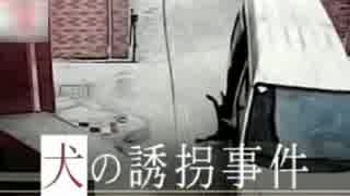 中国で起きている犬攫いと1万匹を食べる犬肉祭りは関係ある？