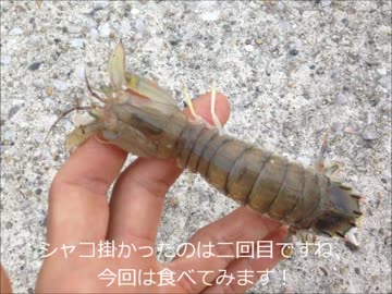 【かーびーの釣り日記】part26 武豊緑地いってきた