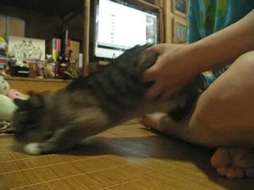 ジャンくんを膝に乗せる練習と匍匐前進の攻防