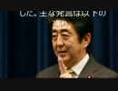 【売国奴】安倍晋三の葬式は（国民改め）俺が出す（金は出さんが）。.wmv