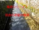 風景シリーズ7初夏の田舎の風景