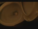 バターをトイレに流してみた