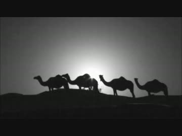 【NNI】Sadam【オリジナル曲】