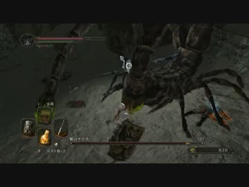 【DarkSouls2】ロートル剣士 覇者への道 Part.53【PC版】