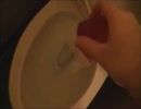 フルーツゼリーをトイレに流してみた３