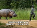 【MUGEN】神様の翼　十二尾～十三尾【ストーリー】