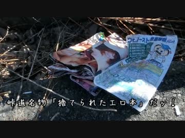 3万円でぶらり甲信自転車旅　群馬県上野村～長野県佐久市その２