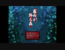 霧雨が降る、約束の場所【実況】part2
