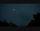 【ソムリエ志望が】 song 【歌ってみた low ver.】