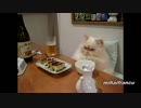 妙に人間くさい仕草のお猫様.mp4
