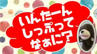 インターンシップってなぁに？【おにいさんといっしょ】