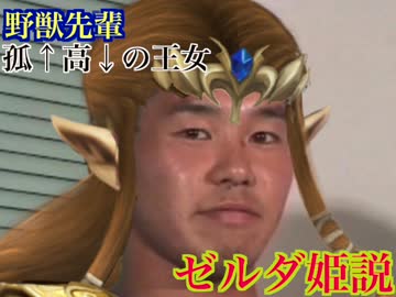 野獣先輩ゼルダ姫説 .lnk