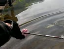 【バス釣り動画】普通のバス釣り動画_２８