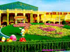 写真で巡る東京ディズニーリゾート「春のディズニー編」