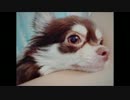 天月さん、お誕生日おめでとうございます！！