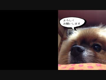 【ニコラップ】自己紹介【たっちゅん】