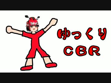 ＣＢＲ２５０Ｒでゆっくり大黒とLAWSONに行くよ　慣らし運転編その３