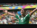 【完全版】【FIFA W杯】オランダ vs メキシコ【ゴール!!編】