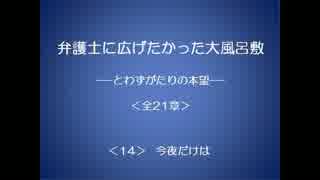 弁護士に広げたかった大風呂敷 14/21 【とわずがたりの韓国ドラマ】