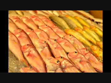 台湾ぐるめ旅２　その６