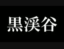【 ダークソウル２ 実況 】魔法使いと不思議な落下物34話【初見】