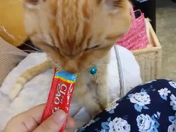 オヤツタイム