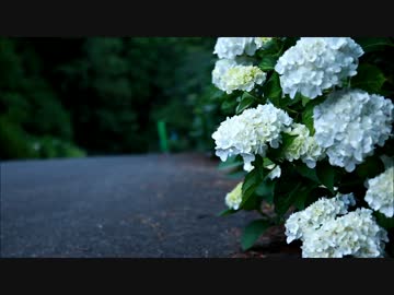 ZX-14R　ツーリング日記