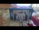 無限おっさんのステアードセレクター開封動画（４／６）